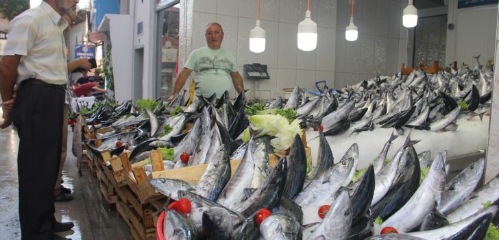 Trabzon’da balık tezgahları şenlendi