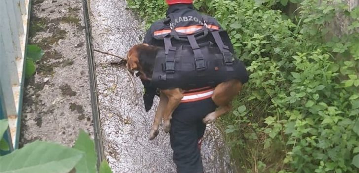 Trabzon’da dereye düşerek yaralanan köpeği itfaiye eri sırtında taşıdı
