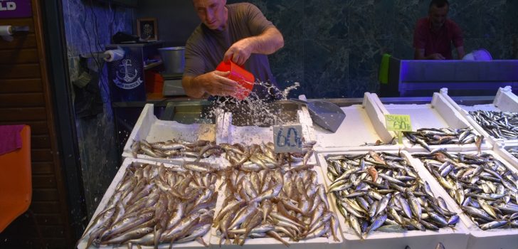Trabzon’daki balıkçı tezgahlarında farklı balıklar yer almaya başladı