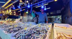 Trabzon’da kilogramı 10 liradan satılan hamsi balıkçı ve tüketiciyi mutlu etti