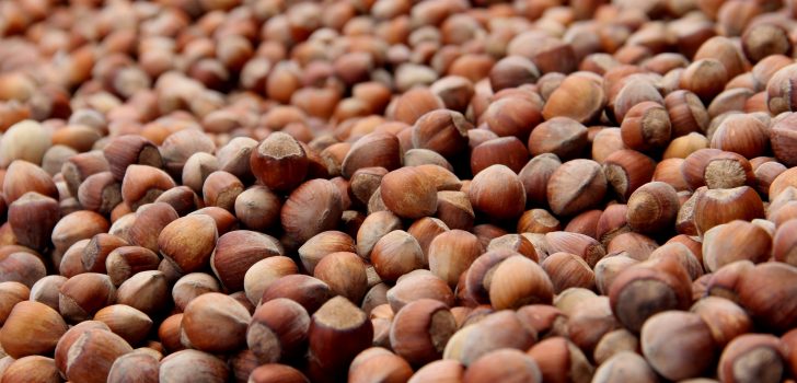 Fındık Piyasasında İstikrarlı Seyir Sürüyor Fındık Piyasasında İstikrarlı Seyir Sürüyor