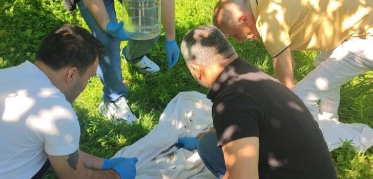 Fındık Araştırma Enstitüsü’nden Samuray Arısı ile Biyolojik Mücadele Çalışmaları Fındık Araştırma Enstitüsü’nden Samuray Arısı ile Biyolojik Mücadele Çalışmaları