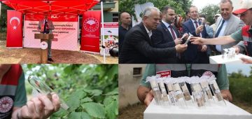 Trabzon’da Kahverengi Kokarcaya Karşı Biyolojik Mücadelede Yeni Adım: 18.424 Samuray Arısı Doğaya Salındı