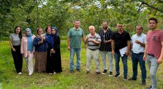 Araklı’da Kahverengi Kokarcaya Karşı Biyolojik Mücadele Çalışmaları Sürüyor