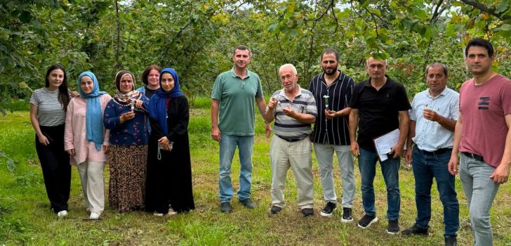 Araklı’da Kahverengi Kokarcaya Karşı Biyolojik Mücadele Çalışmaları Sürüyor